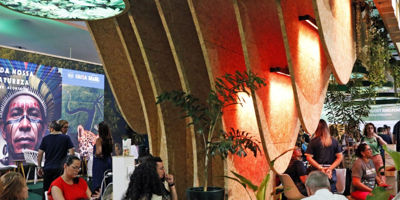 cop30-discute-meios-de-aumentar-o-numero-de-arvores-nas-cidades