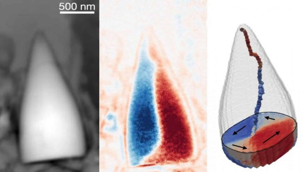 fosseis-de-milhoes-de-anos-de-uma-criatura-desconhecida-tem-“gps-biologico”