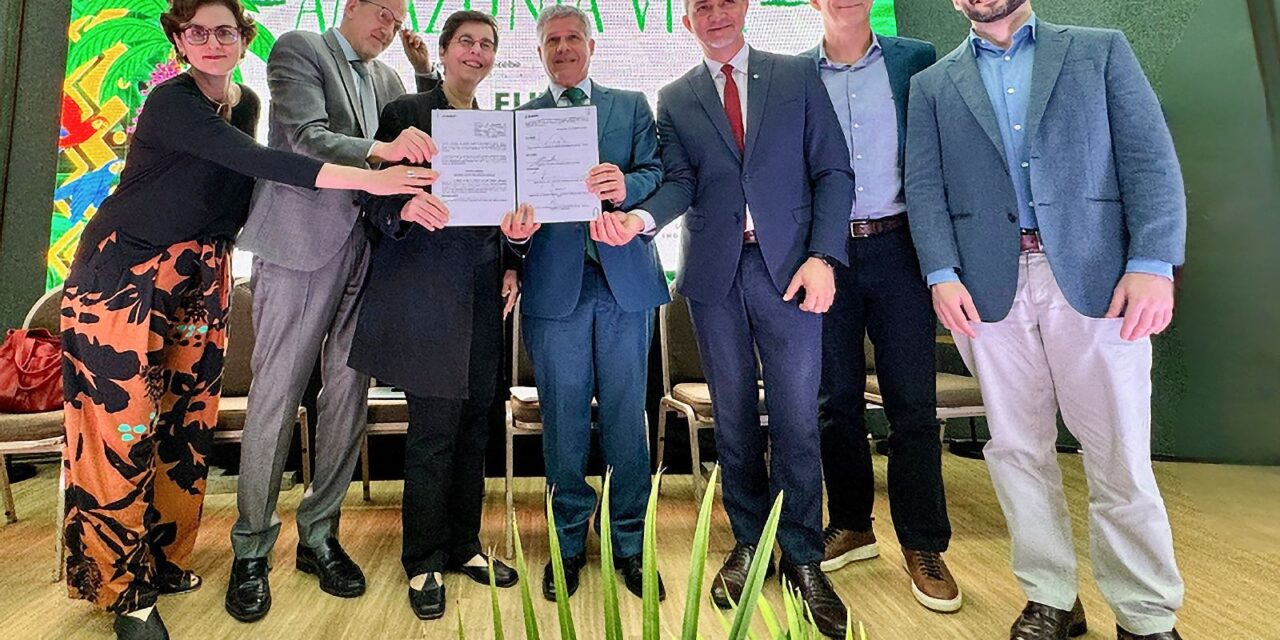 fundo-amazonia:-cadeias-produtivas-de florestas-terao r$-96,6-milhoes