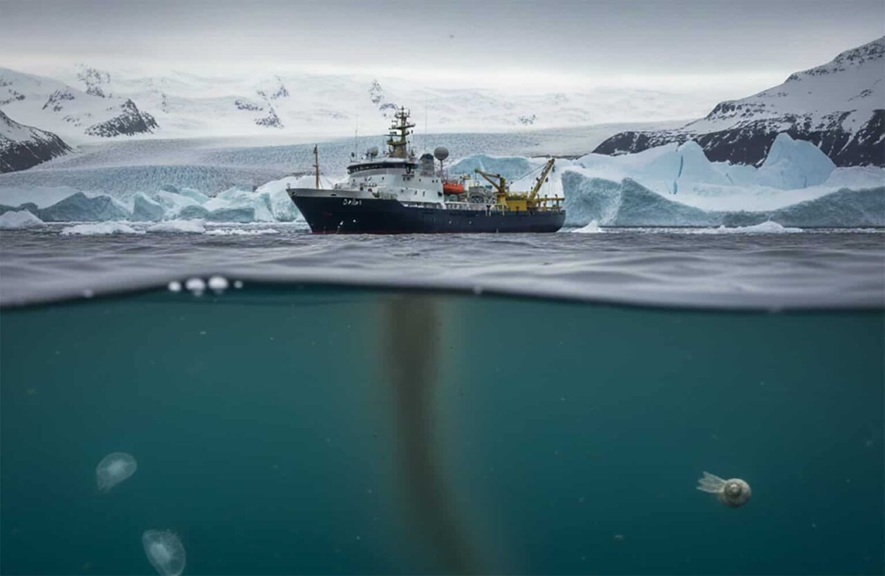 chumbo-persistente-e-acidificacao-expoem-impacto-humano-no-oceano-artico