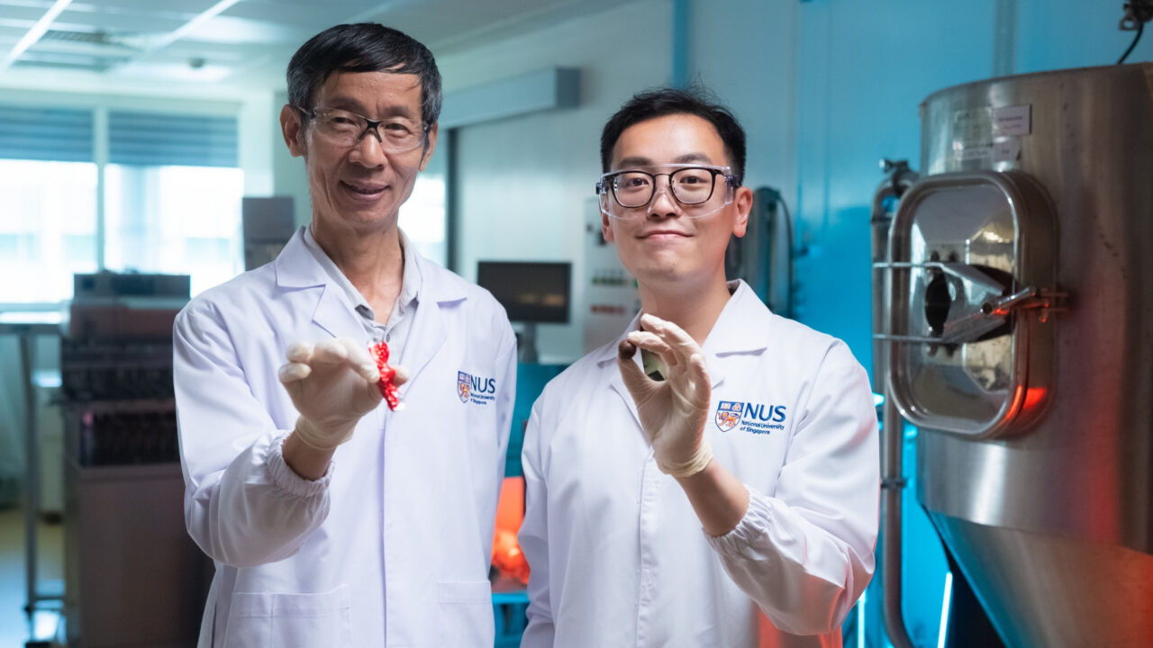 novo-chocolate?-cacau-alternativo-atinge-nivel-proximo-de-sabor