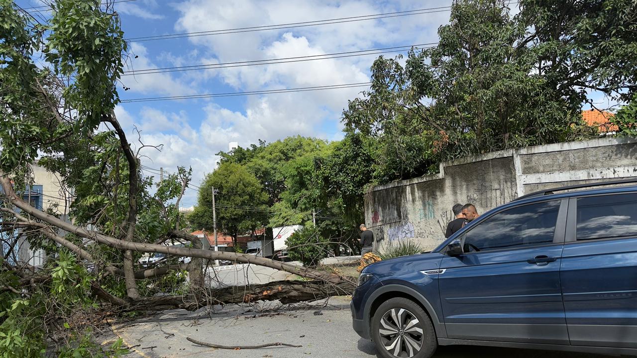 terceirizados-da-enel-sao-detidos-por-suposta-cobranca-de-propina-para-religar-energia
