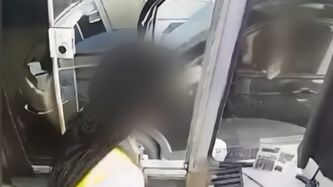 cameras-flagraram-suspeito-em-pedagio-com-cadaver-da-companheira-no-banco;-veja