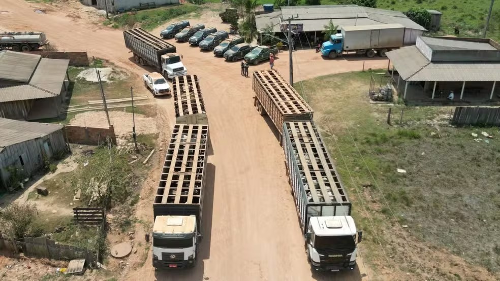 ibama-investiga-emboscada-que-matou-vaqueiro-durante-operacao-em-terra-indigena