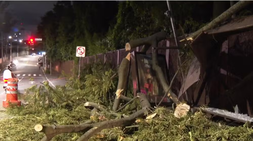 funcionario-da-prefeitura-de-sp-morre-atingido-por-tronco-durante-poda-de-arvore