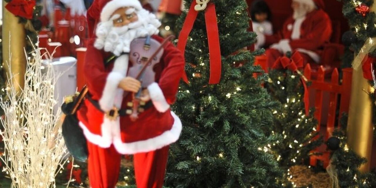 hoje-e-dia:-natal,-ecologia-e-cristina-buarque-sao-destaques