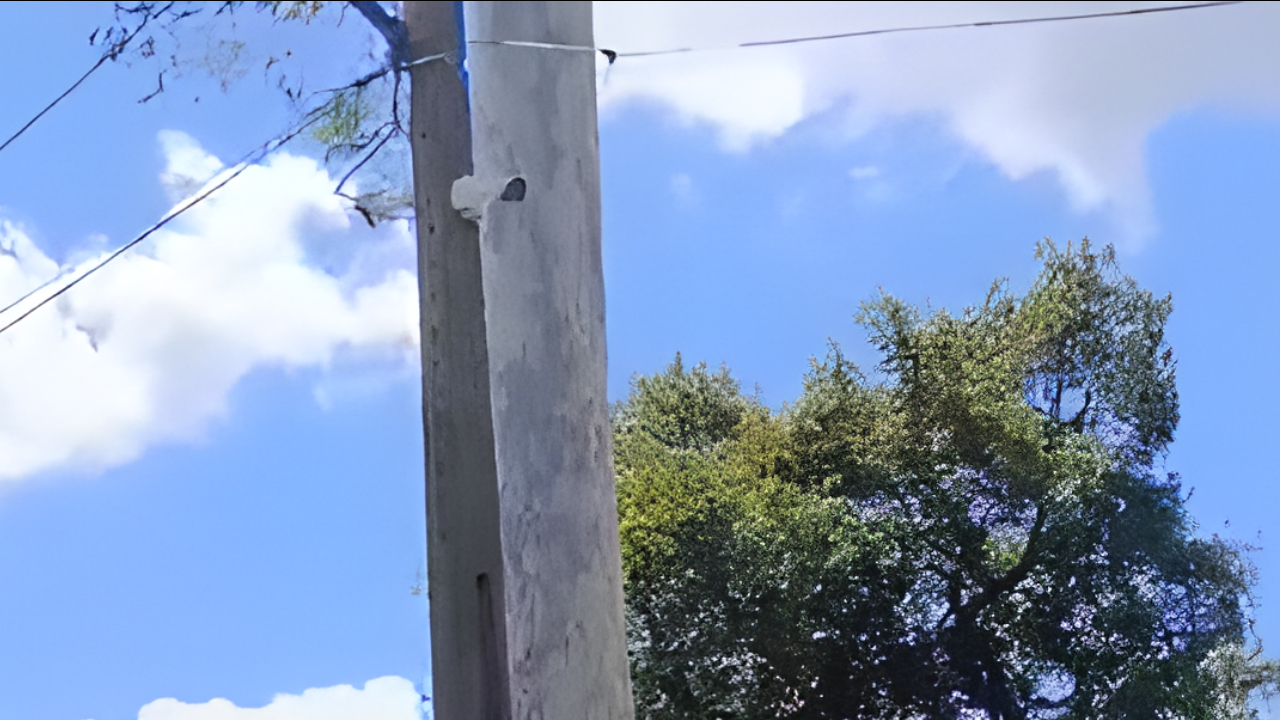 familia-pede-pericia-em-cameras-de-fazenda-onde-mulher-e-tres-criancas-desapareceram