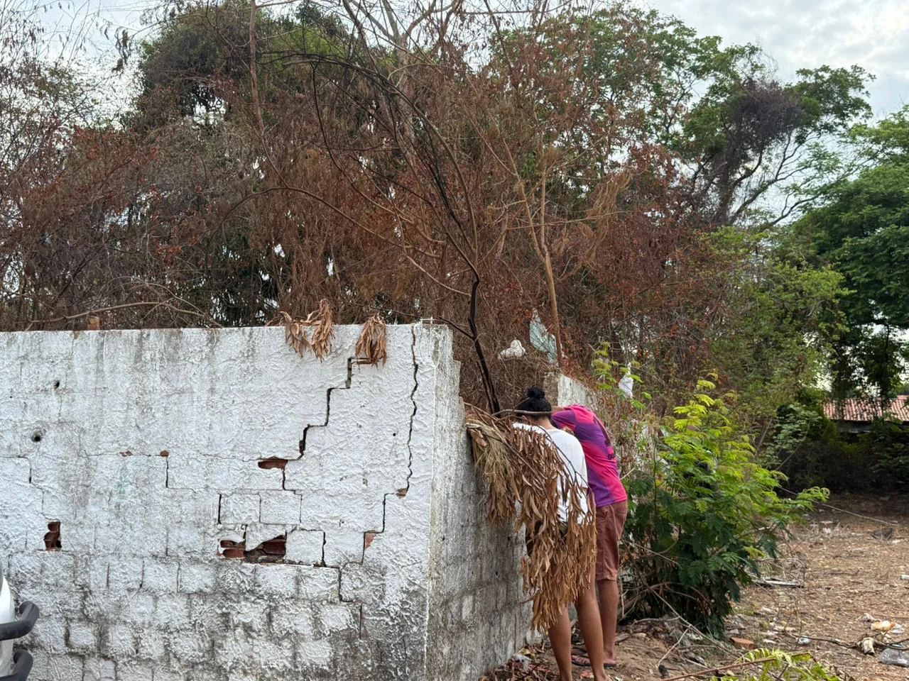 corpo-de-adolescente-desaparecido-e-encontrado-em-terreno;-saiba-detalhes
