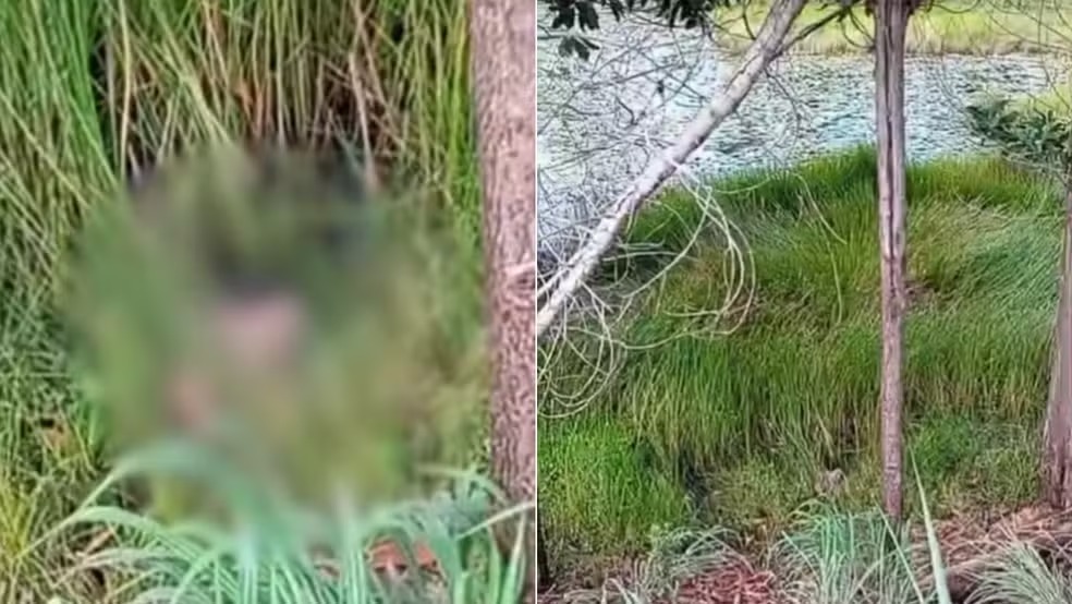 cabeca-humana-e-encontrada-as-margens-de-corrego