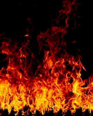 advogado-e-preso-suspeito-de-matar-homem-carbonizado-em-ritual-macabro