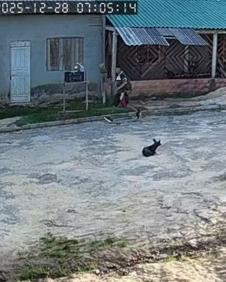 homem-e-preso-apos-atear-fogo-na-ex-esposa-e-no-filho-pequeno;-veja-video