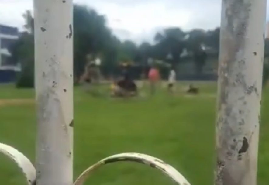 video:-discussao-em-parquinho-acaba-com-ataque-feroz-em-parquinho