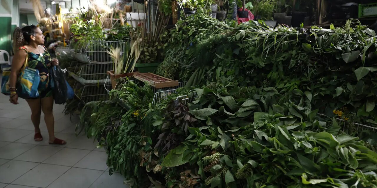 erveiras-se-atualizam-para-atender-a-novas-tradicoes-de-religioes-afro