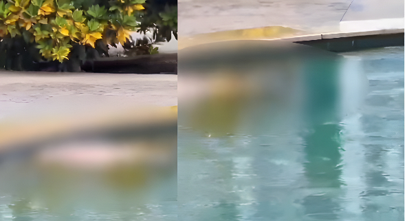 video:-corpo-de-homem-e-encontrado-dentro-de-chafariz