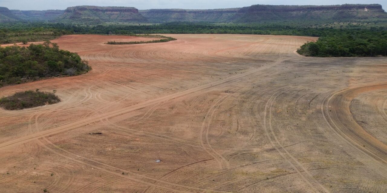 exportadores-de-soja-deixam-acordo-sobre-desmatamento-na-amazonia