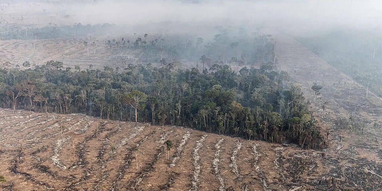 inpe-revela-que-o-amazonas-registrou-queda-de-80%-no-numero-incendios