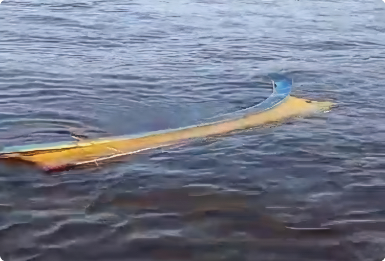 naufragio-de-pequeno-barco-mata-duas-criancas