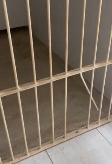 preso-entorta-grade-de-cela-e-consegue-fugir-de-dentro-de-forum;-veja-video
