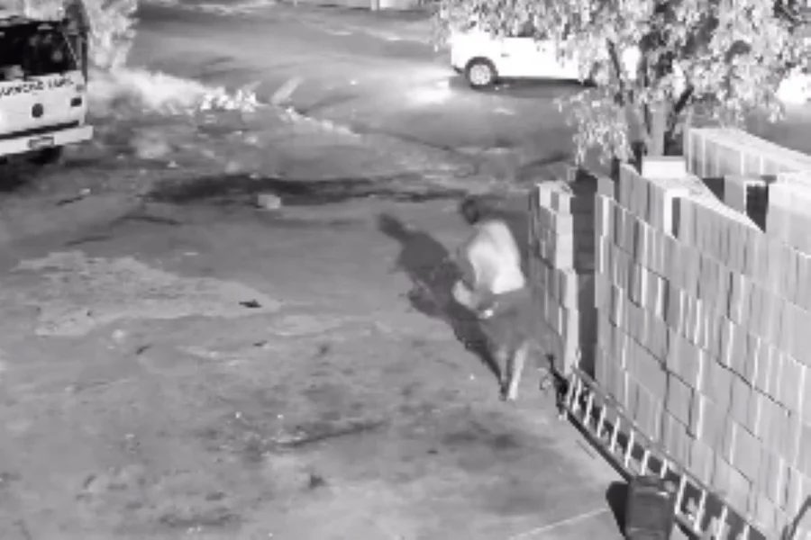 homem-morre-baleado-apos-tentar-evitar-assalto-a-empresa