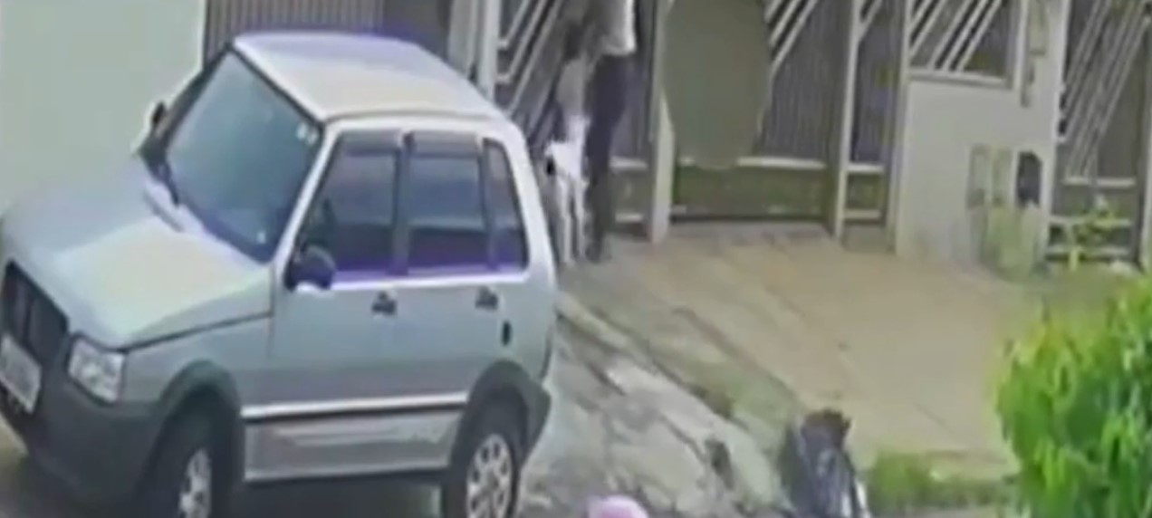 video:-pitbull-ataca-crianca-de-dois-anos-apos-escapar-de-casa