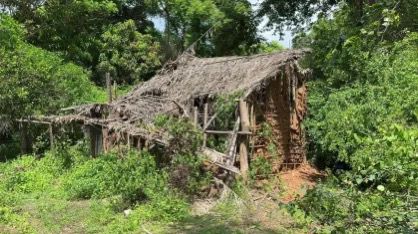 caso-dos-irmaos-desaparecidos-em-bacabal-segue-sem-pistas-apos-buscas-em-mata