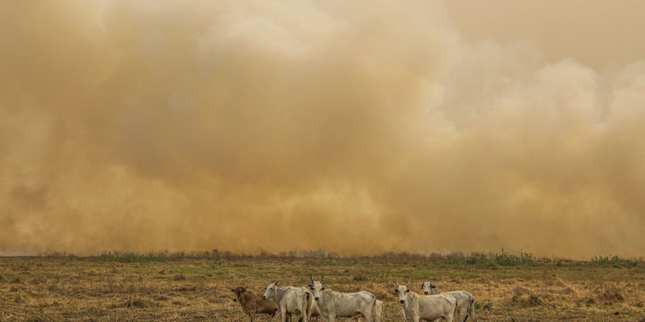 janeiro-tem-numero-de-focos-de-calor-duas-vezes-maior-que-a-media