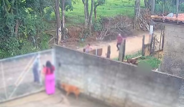 bebe-de-11-meses-morre-apos-ser-atacado-por-pitbull;-video