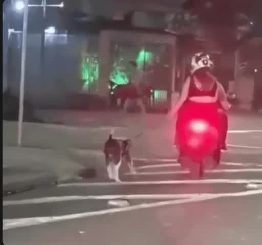 casal-arrasta-cachorro-pela-coleira-enquanto-anda-de-moto;-video