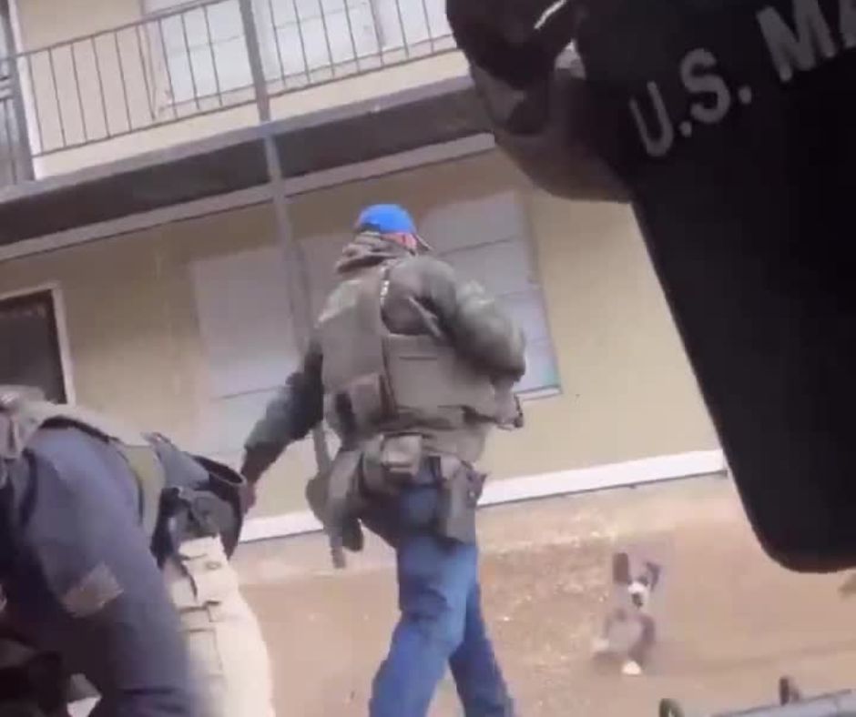 agente-federal-dos-eua-chuta-cachorro-durante-operacao-policial;-video