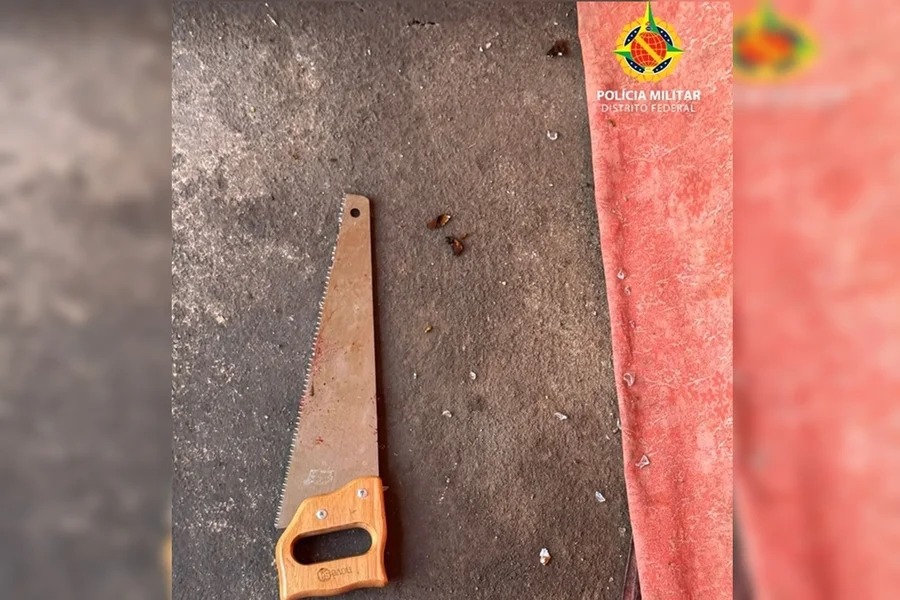 homem-tenta-matar-a-propria-mae-com-serrote-e-acaba-preso