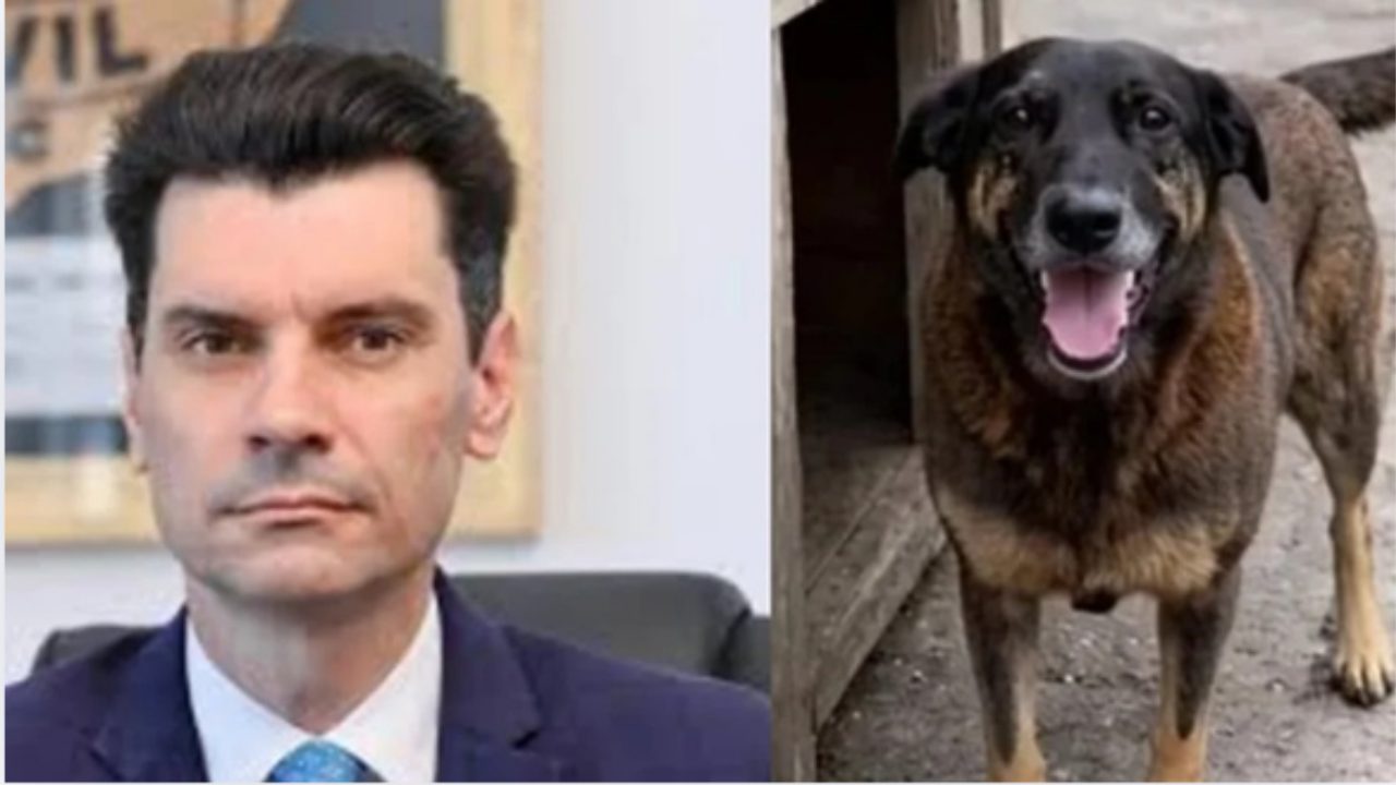 cao-orelha:-mp-investiga-possivel-abuso-de-delegado-geral-em-investigacao