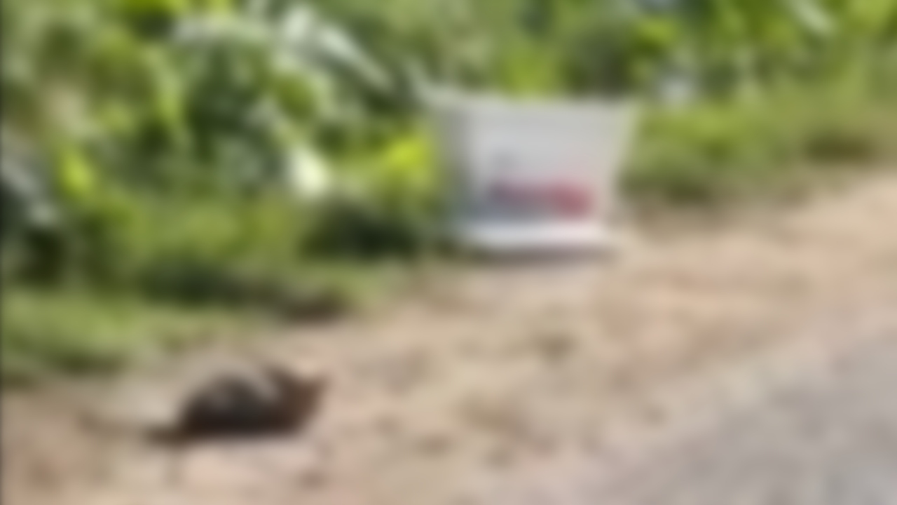 cabeca-e-encontrada-em-caixa-com-cartaz-de-faccao-apos-morte-de-‘chefao’-rival