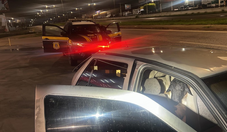 prf-flagra-carro-abandonado-com-18-bodes